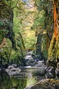Peter Osborne - Fairy Glen